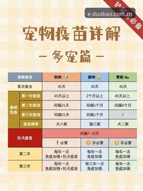 多宝体育中国官方主页兼容版避坑指南